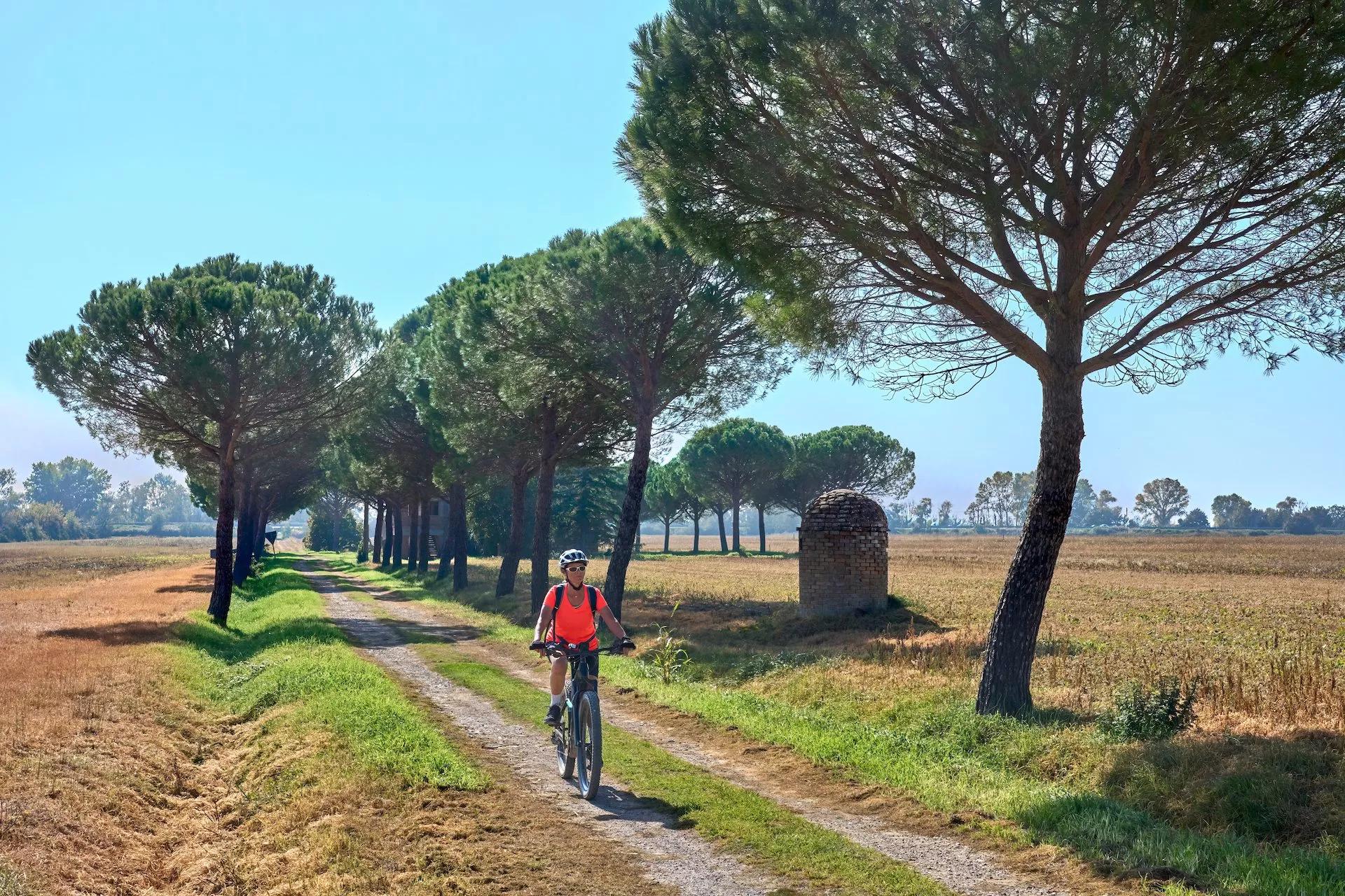 Tuscany Road Bike Tour