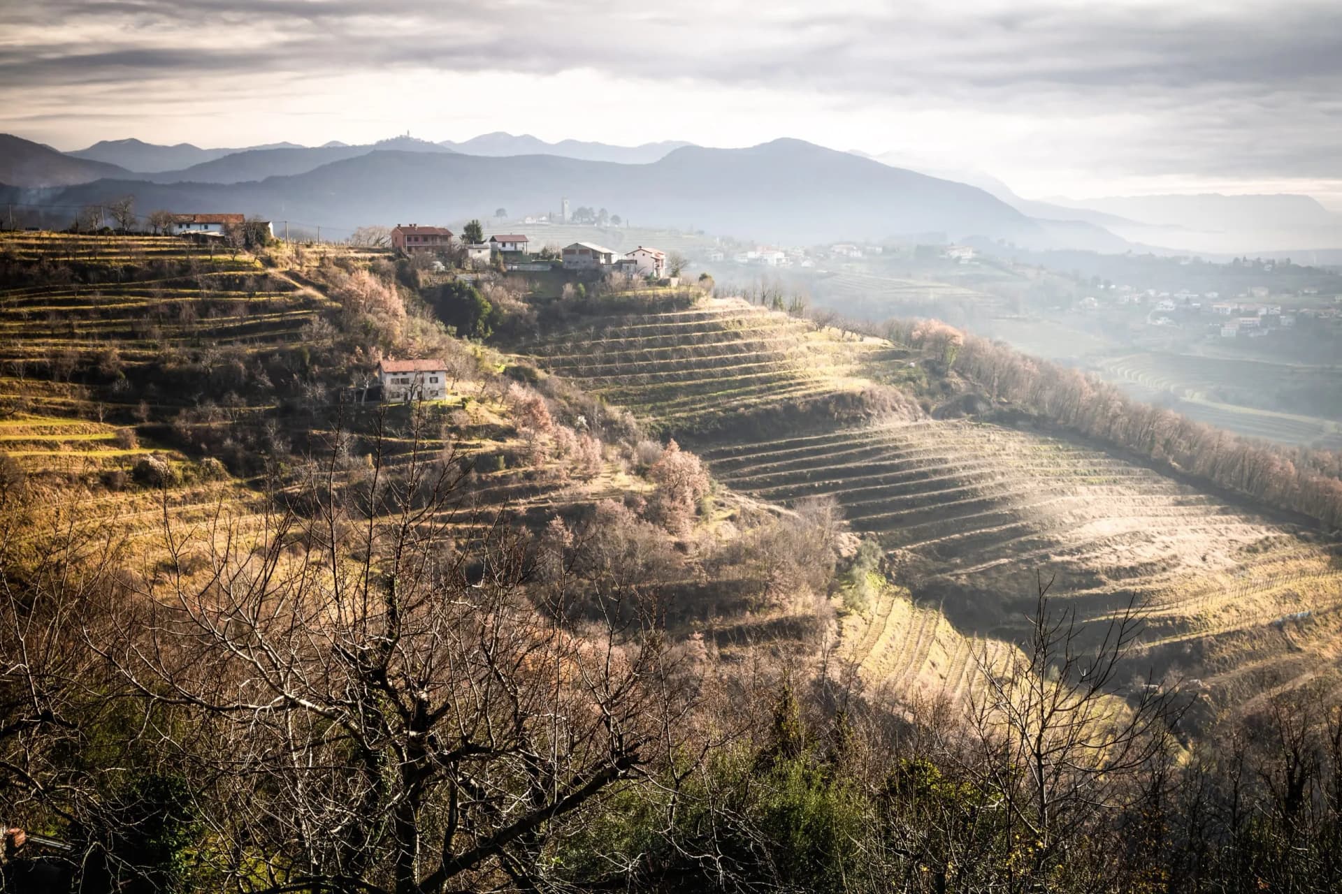 Terraced vineyards and scattered houses on hillsides with mountains in misty background, Goriška Brda.