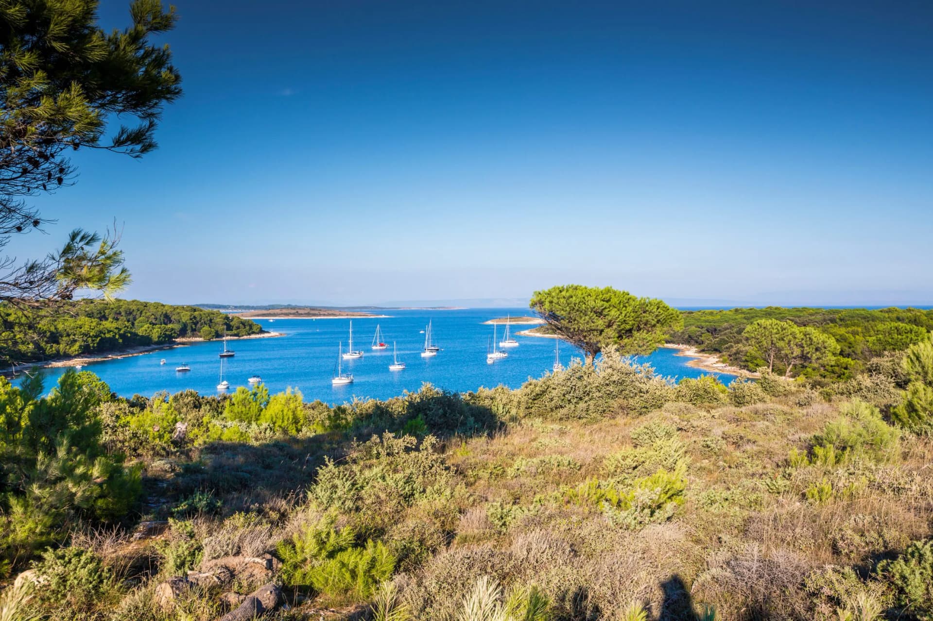 Sailboats anchored in a blue cove surrounded by green, scrubby Mediterranean coastline under a clear sky.