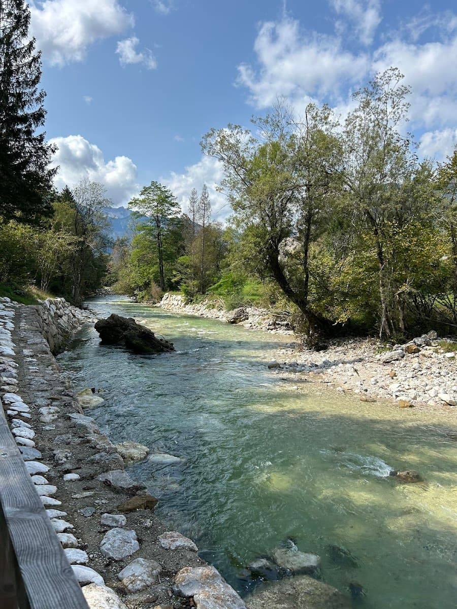 Clear mountain river flowing past a rocky bank with lush green trees under a blue sky.