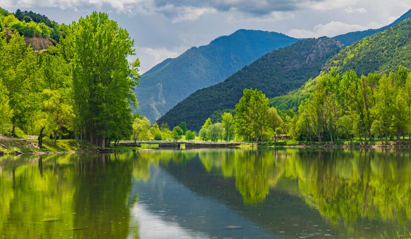 Aiguamolls de l’Empordà image 1