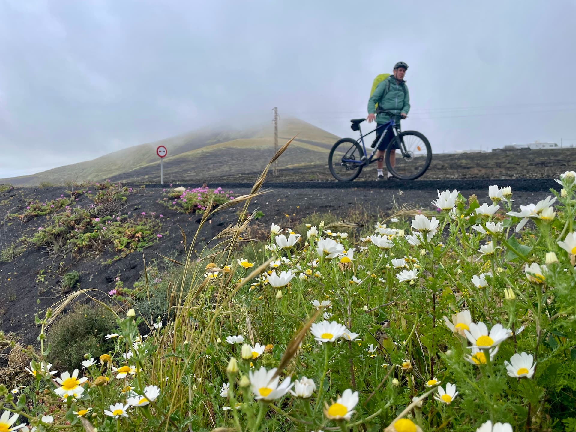 Cyclist with a mountain bike on a volcanic road in Lanzarote with white wildflowers in the foreground.