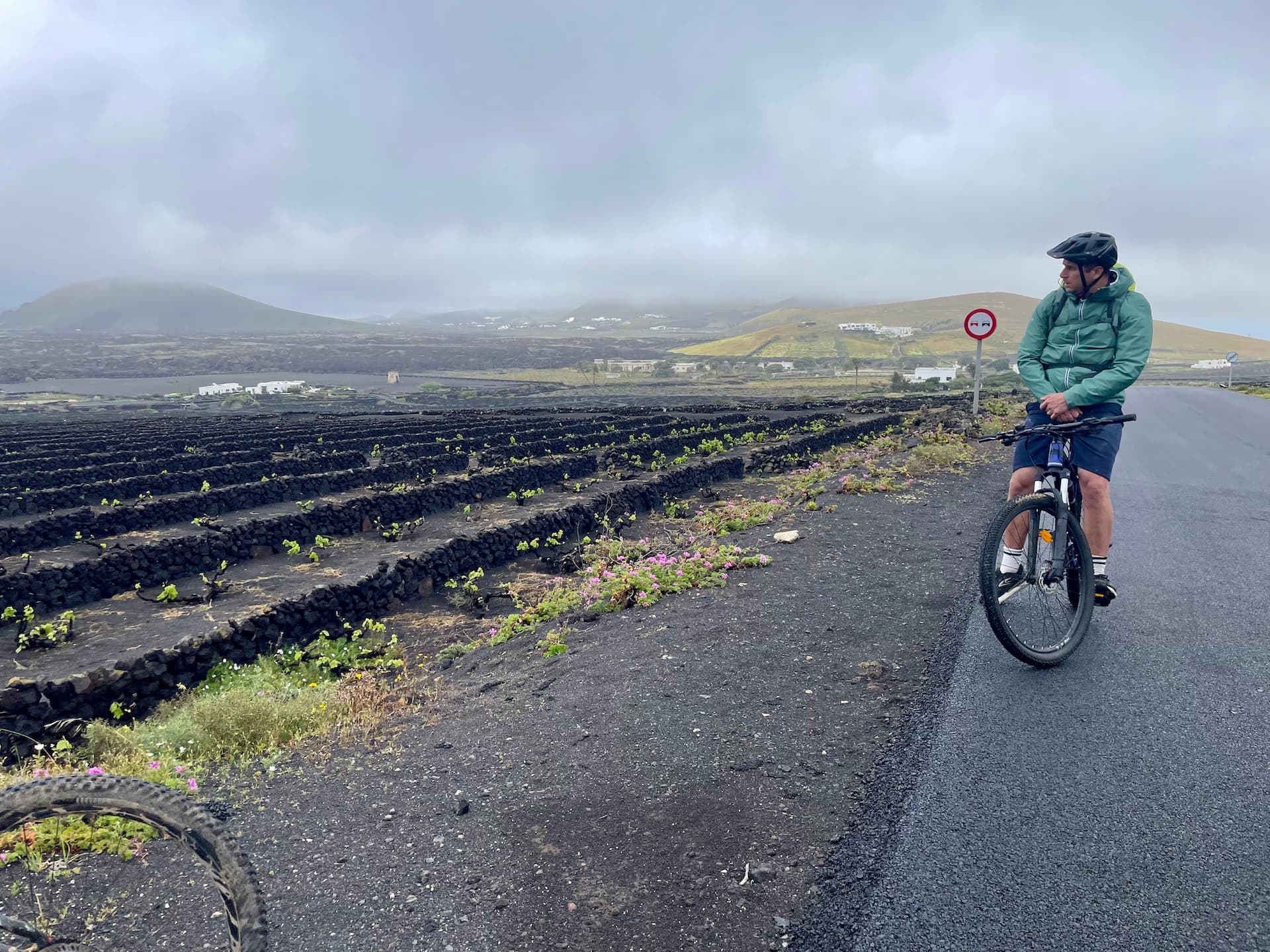 Cyclist on a road in Lanzarote with volcanic vineyards and hills in the background.