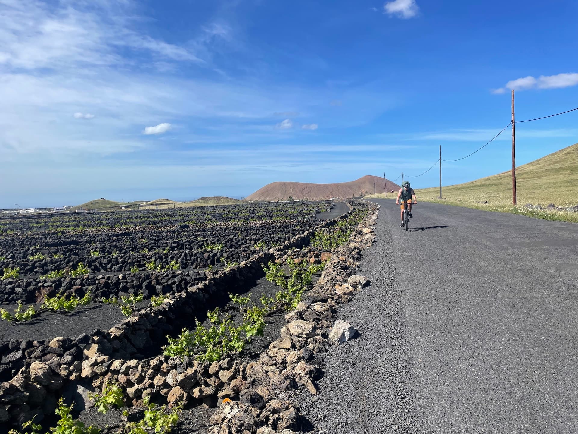 Cyclist on a paved road beside volcanic vineyard fields in Lanzarote.