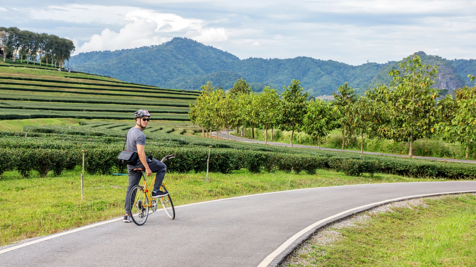 Men riding a bicycle at Singha park Chiang Rai, Thailand.