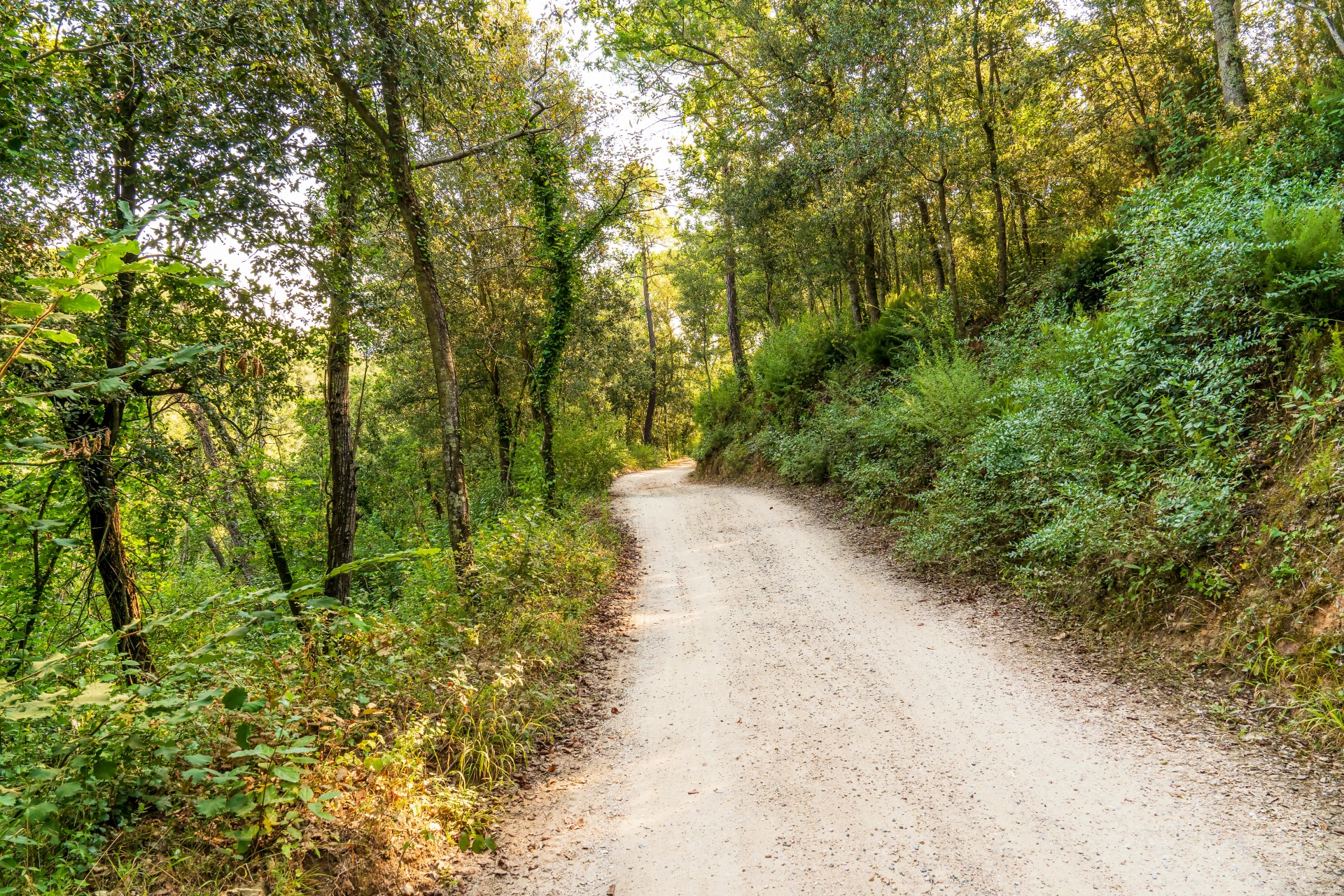 the natural park of "Massis de les Gavarres"