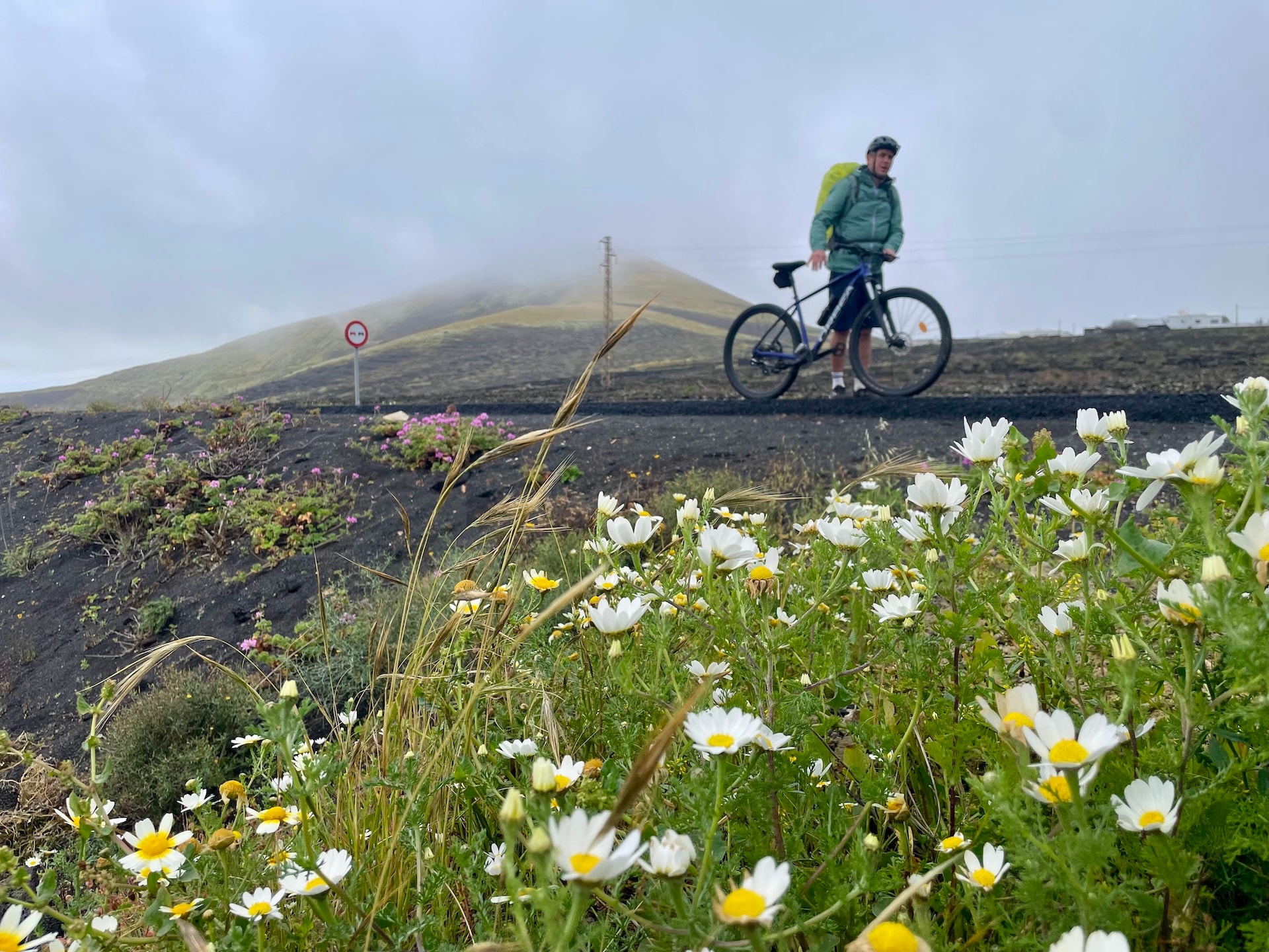 Cyclist with a mountain bike on a volcanic road in Lanzarote with white wildflowers in the foreground.