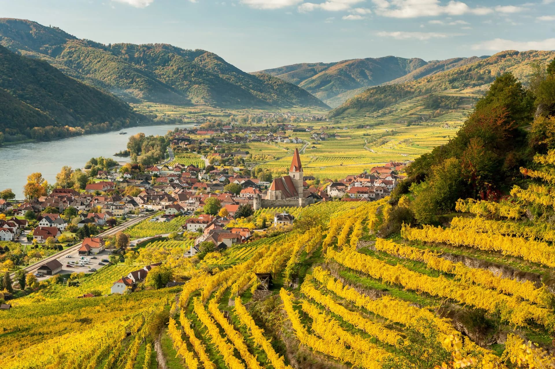Wachau vineyards