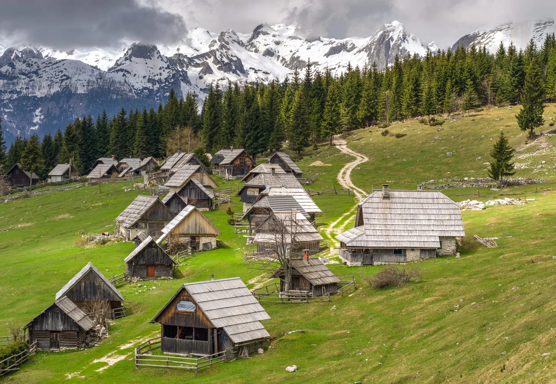 Alpine meadow with wooden huts, forest, and snow-capped mountains in Pokljuka.
