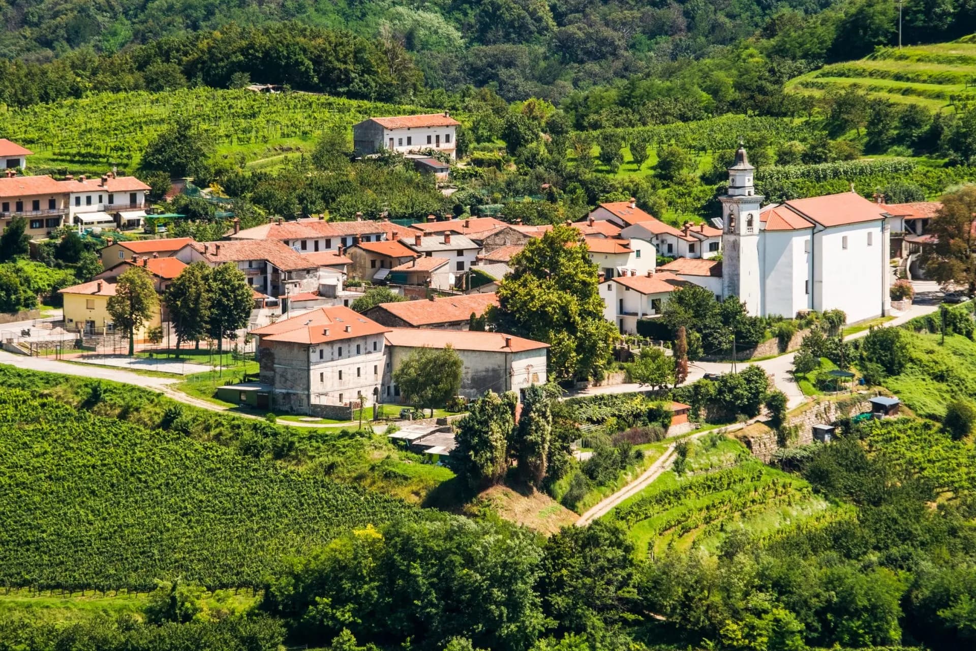 villages at goriska brda slovenia stockpack adobe stock scaled