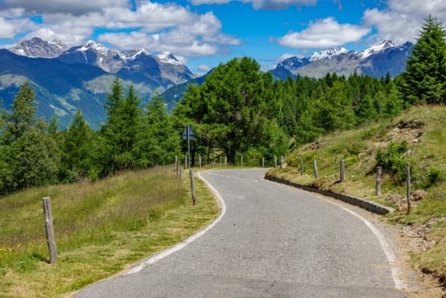Winding mountain road ascending past green forest toward snow-capped peaks under blue sky
