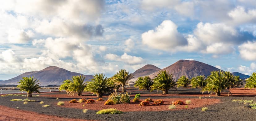 Landscape with volcanoes mountain in Timanfaya national park, Lanzarote, Spain