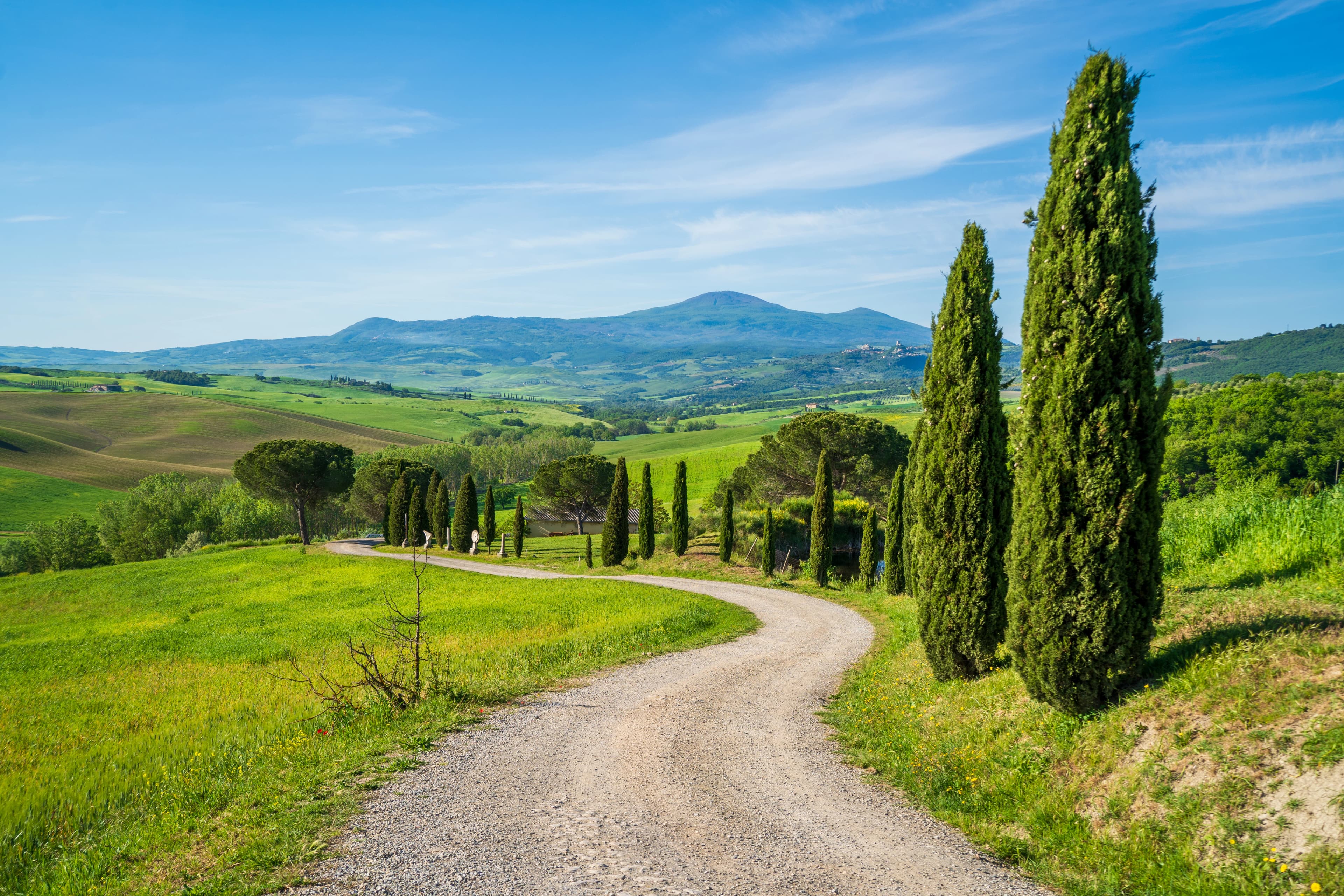 Crete Senesi landscape