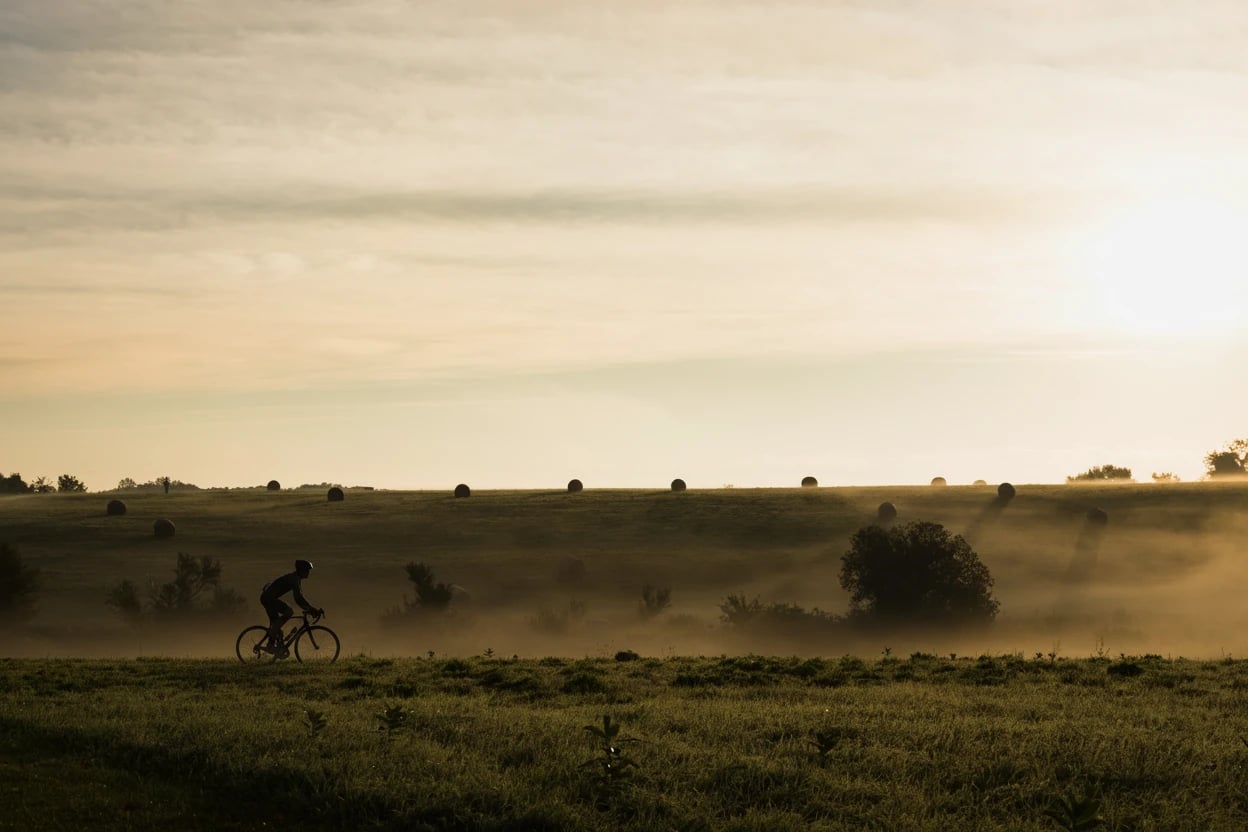 Open field with round hay bales and sun streaming through fog
