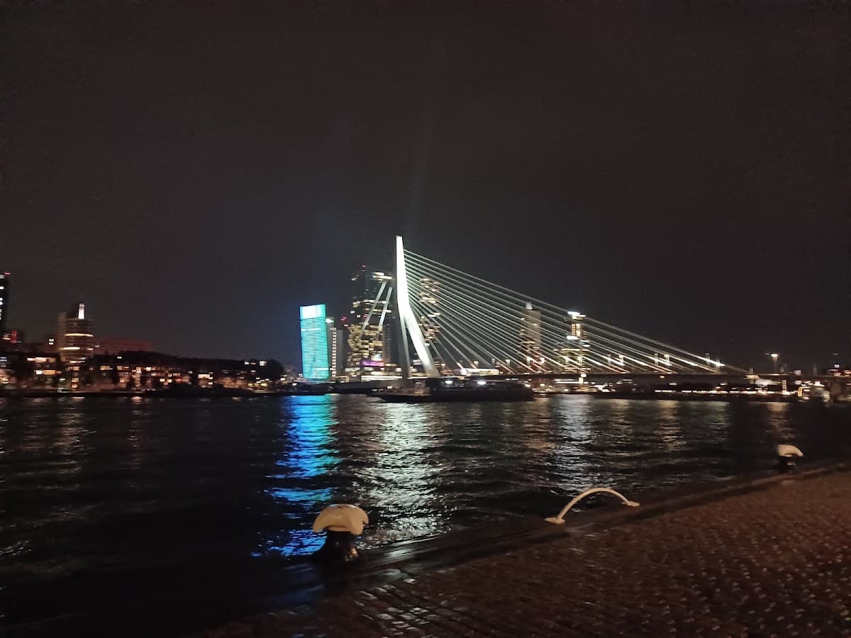 Illuminated cable-stayed bridge and city skyline across water at night