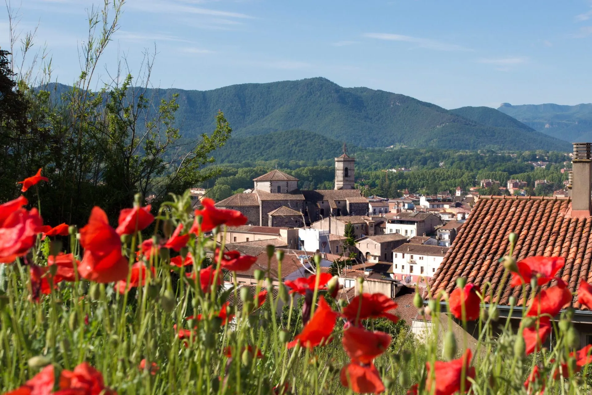 Old town olot and volcanic mountains with poppy flowers in foreground stockpack adobe stock scaled