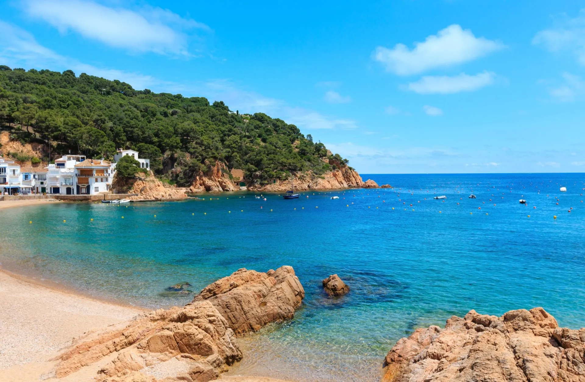 Tamariu bay costa brava spain stockpack adobe stock scaled